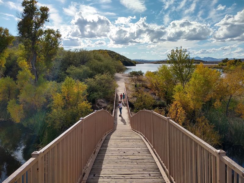 Trails, Wildlife, And Open-Range Surprises