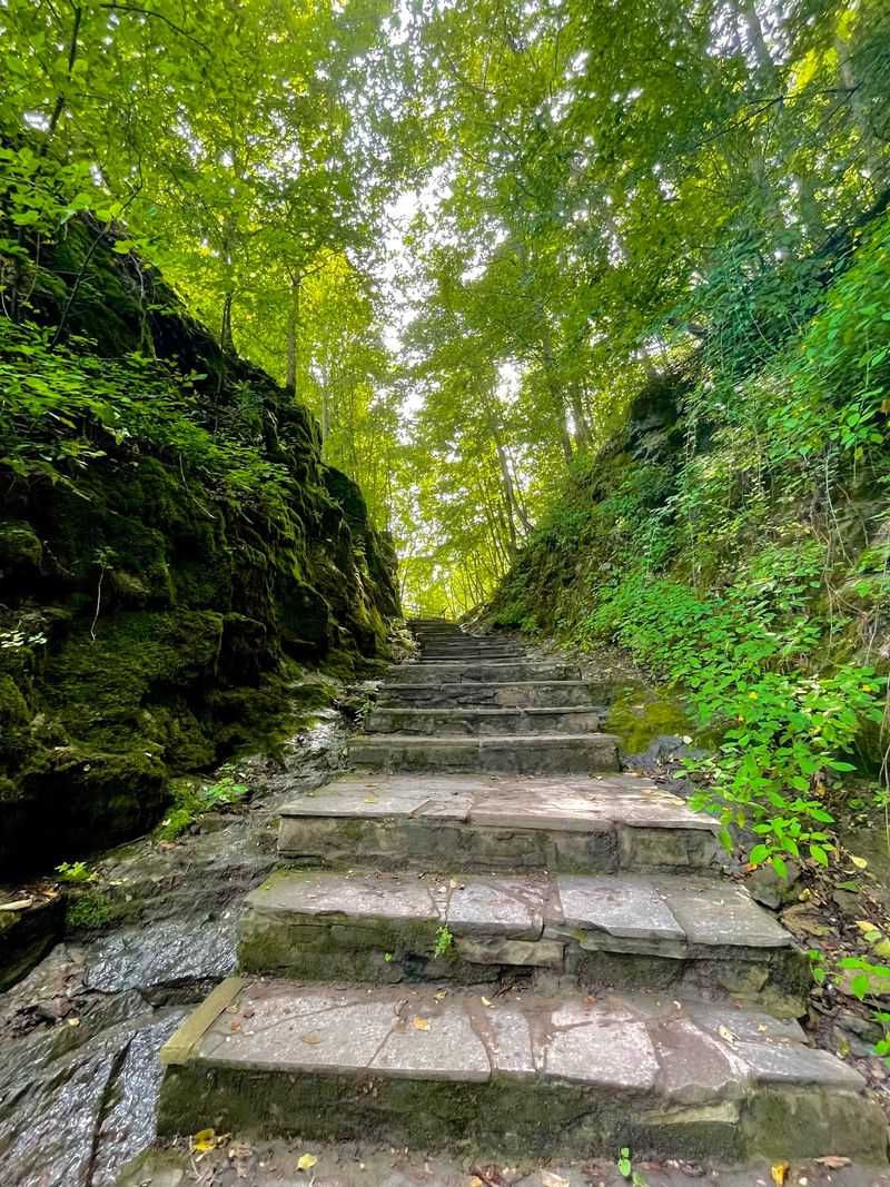 Trails for Every Comfort Level