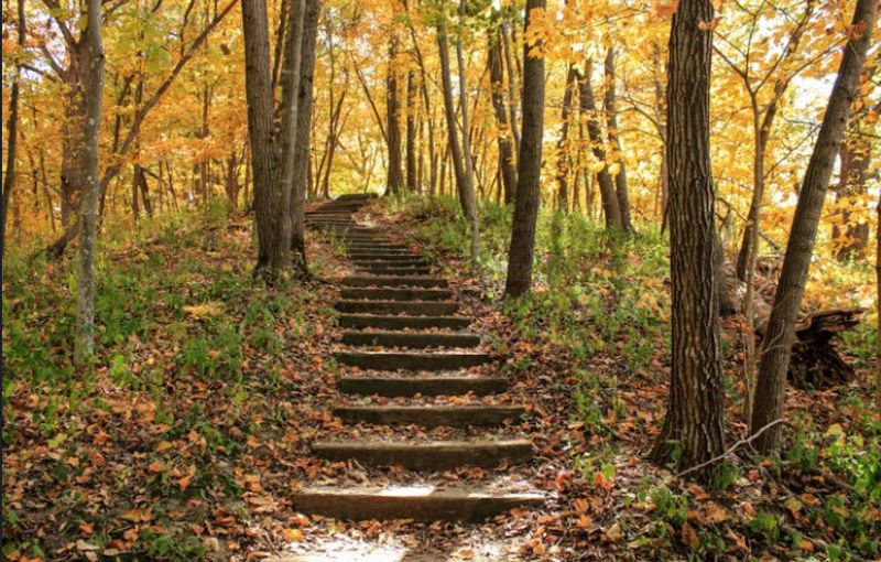Trails for Every Kind of Hiker