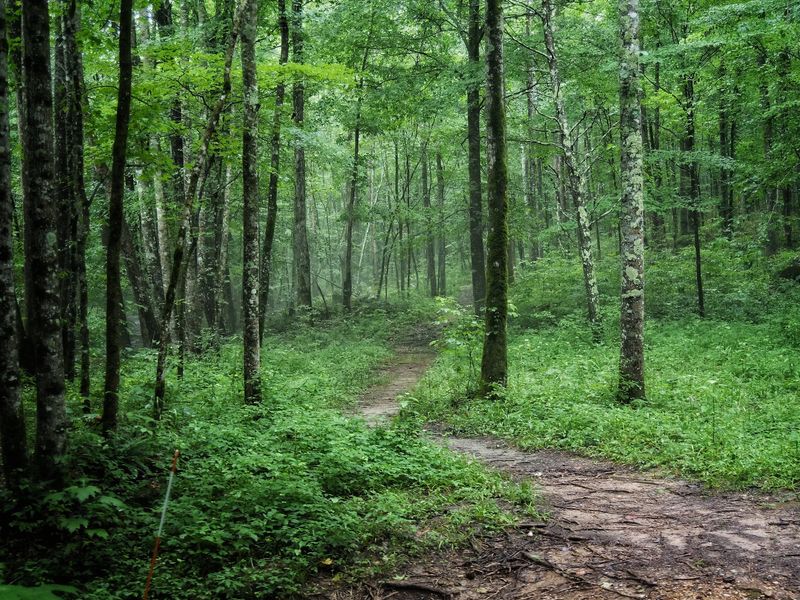 Trails for Every Kind of Hiker Trails for Every Kind of Hiker