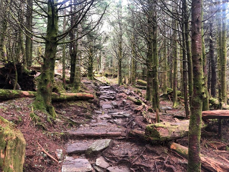 Trails for Every Kind of Walker Trails for Every Kind of Walker