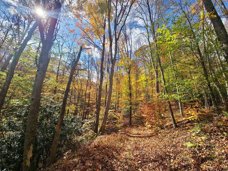 Trails for Every Kind of Walker
