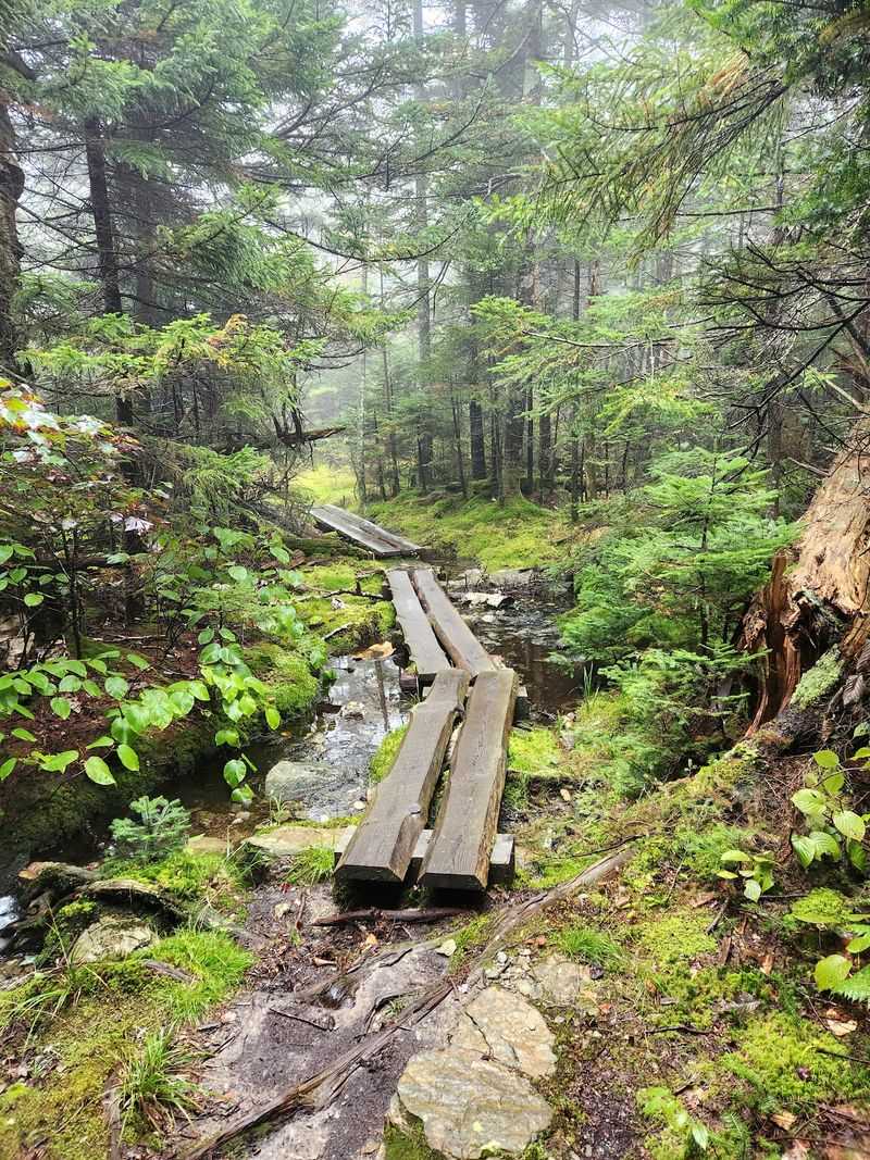 Trails for Every Level of Hiker