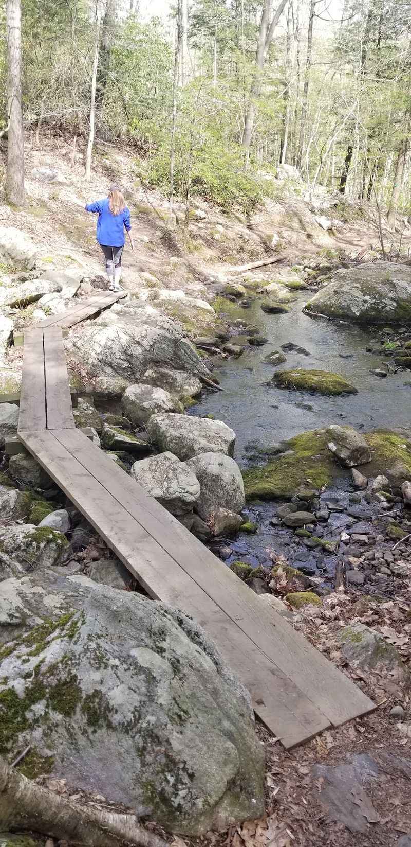 Trails for Every Skill Level, From Easy Walks to Rocky Scrambles