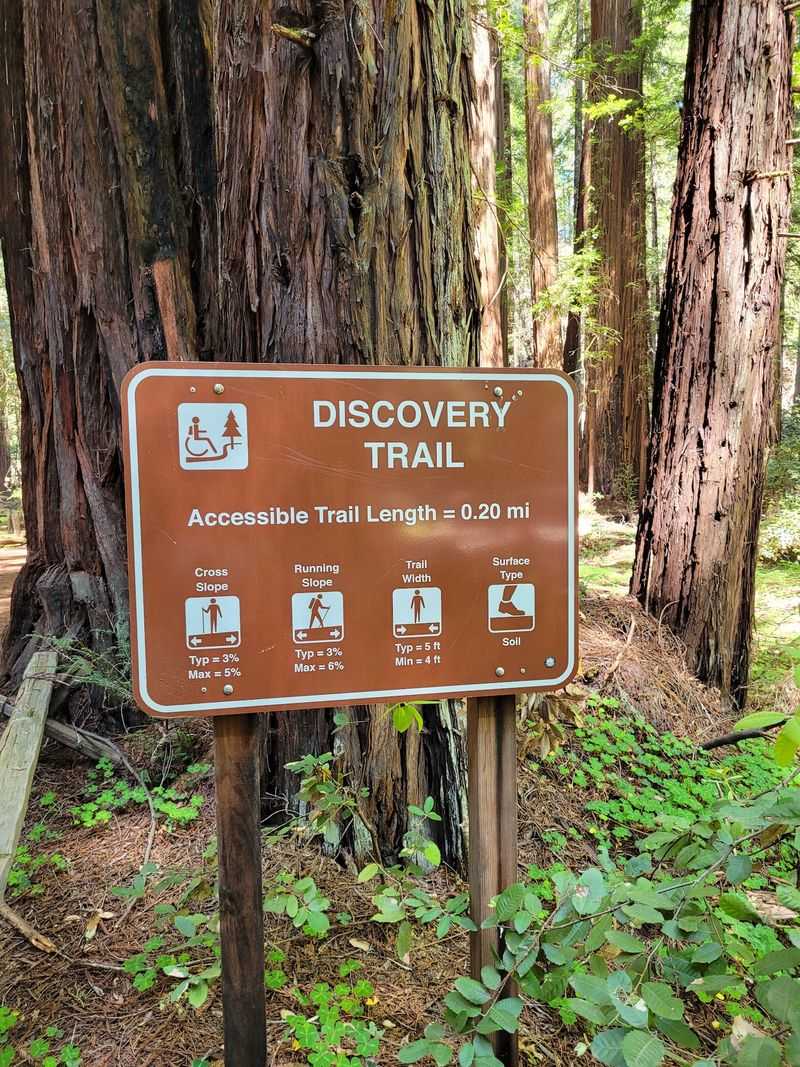 Trails for Every Skill Level, From Flat Strolls to Ridge Climbs