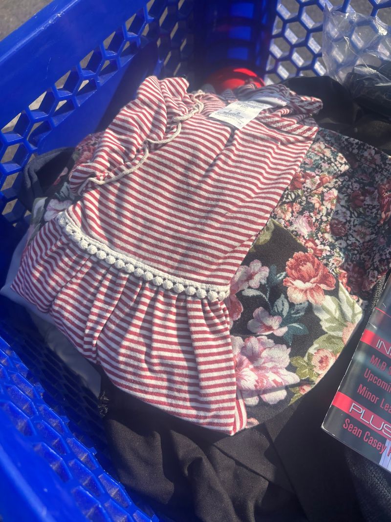Treasures People Have Pulled From The Piles