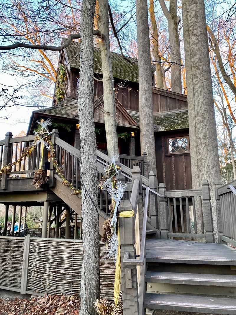 Treehouses Hidden in the Forest