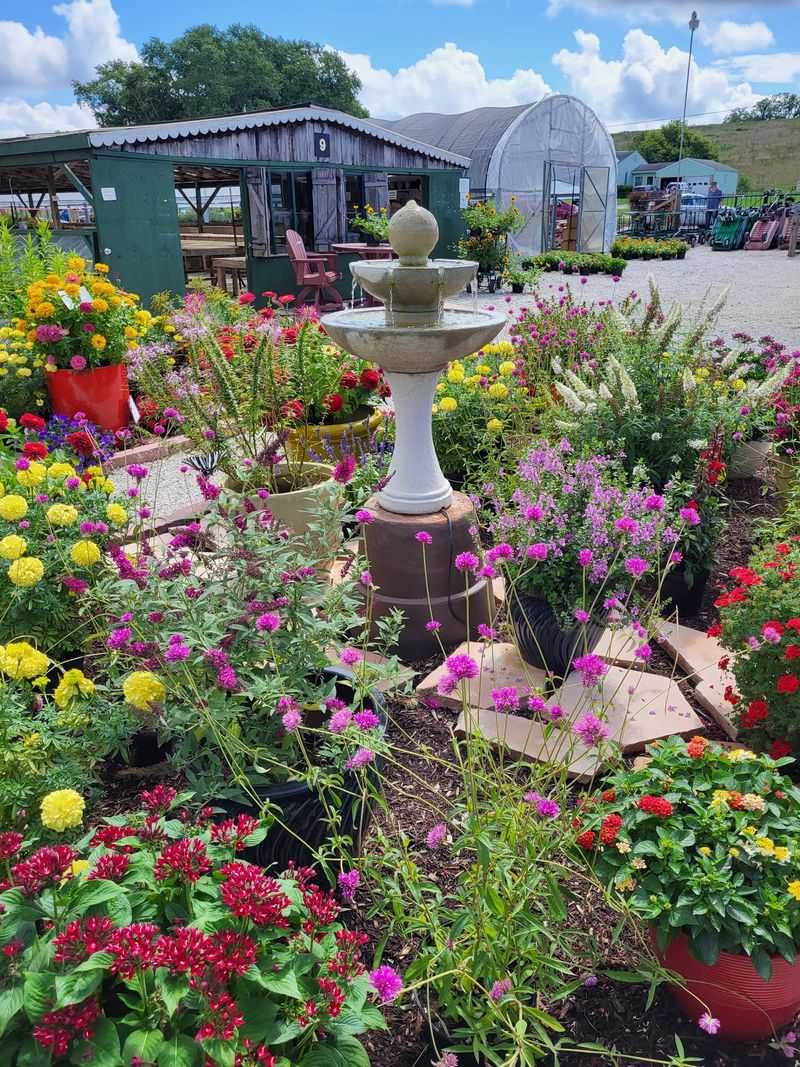 Trees, Shrubs, And The Great Outdoors Trees, Shrubs, And The Great Outdoors