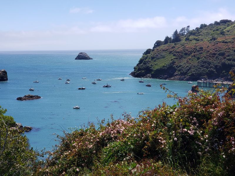 Trinidad, California