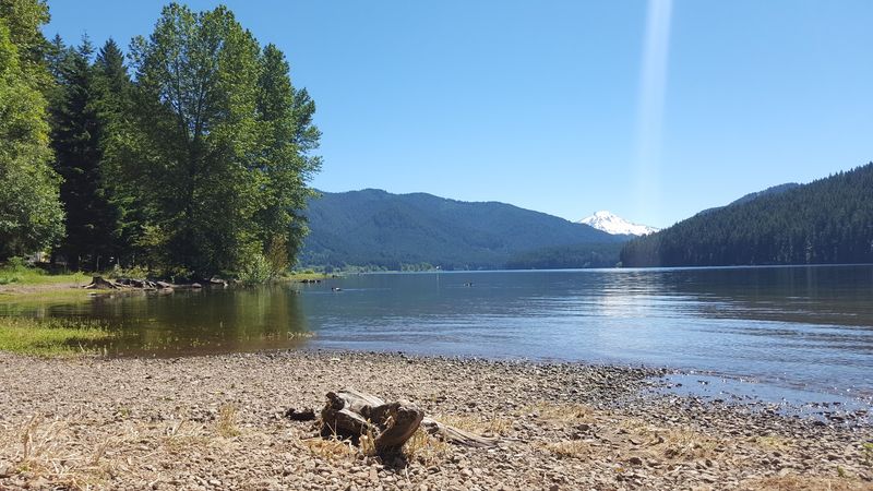 Trout Fishing And A Well-Stocked Lake