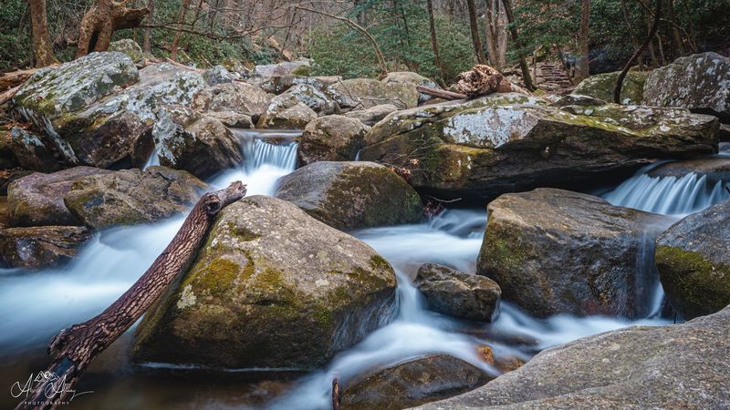 Trout Fishing In Mountain Waters