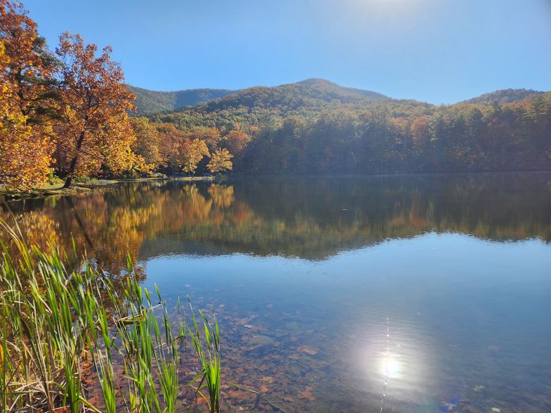 Trout Fishing In Stocked Waters Trout Fishing In Stocked Waters