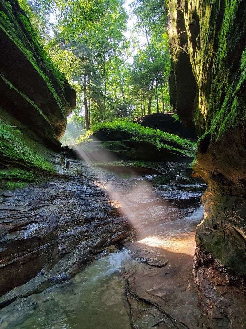 Turkey Run State Park, Marshall, Indiana