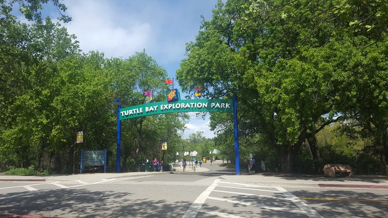 Turtle Bay Exploration Park Right Next Door Turtle Bay Exploration Park Right Next Door