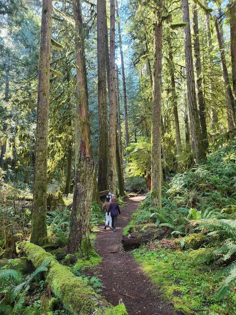 Twanoh State Park, Union, Washington