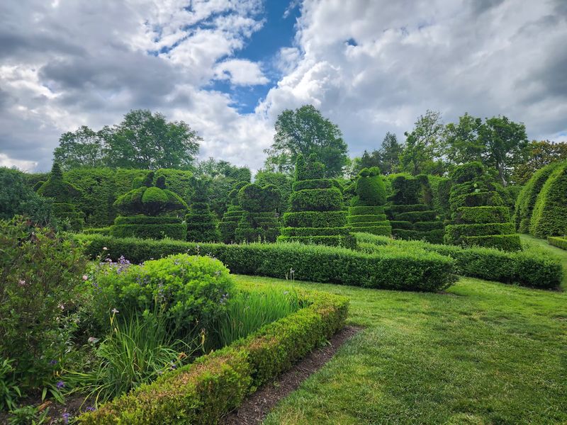 Twenty-Two Green Rooms Waiting to Be Explored