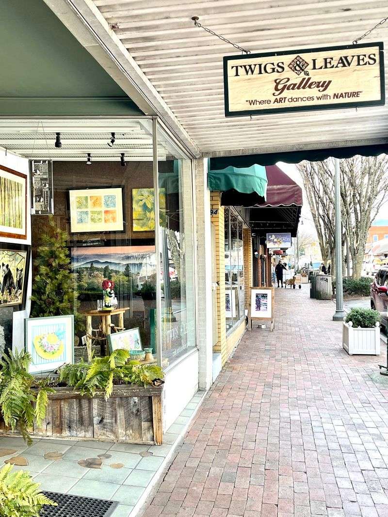 Twigs and Leaves Gallery, Waynesville, North Carolina