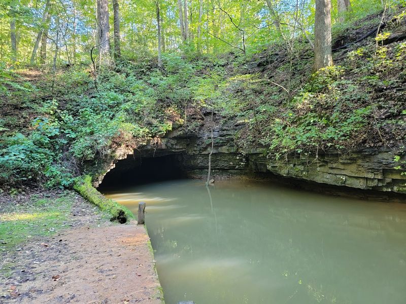 Twin Caves Boat Tour - A Must-Do Underground Adventure
