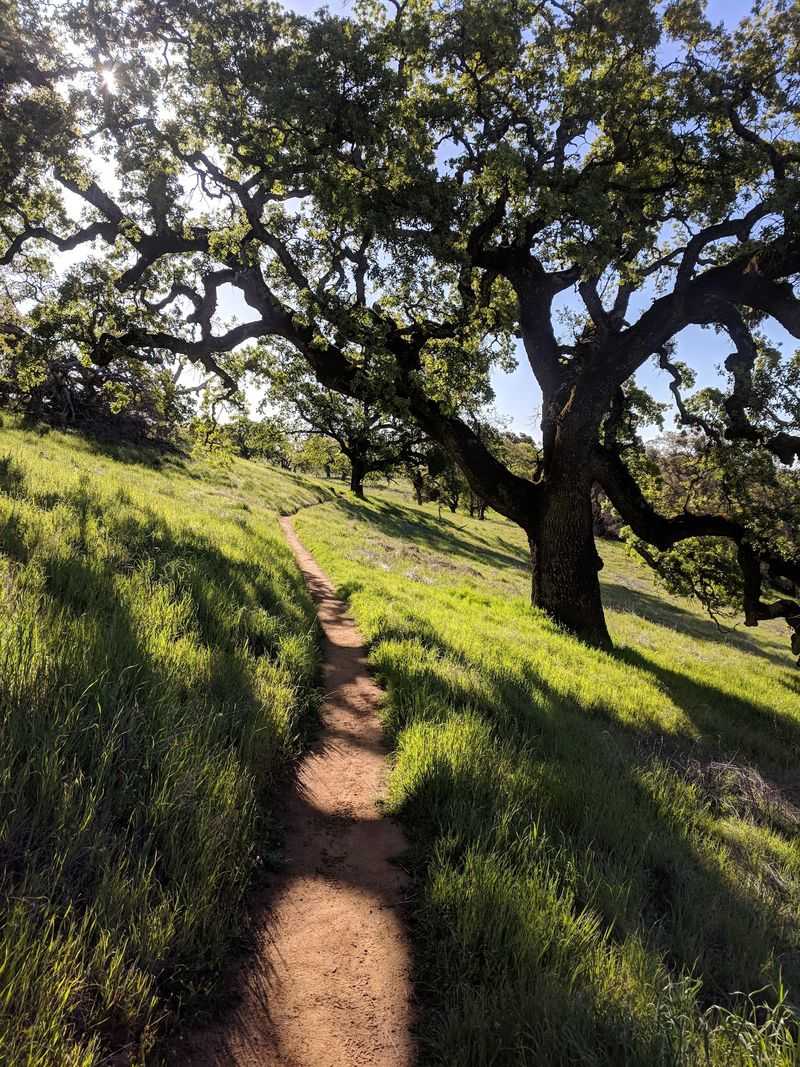 Two Hundred And Fifty Miles Of Trails