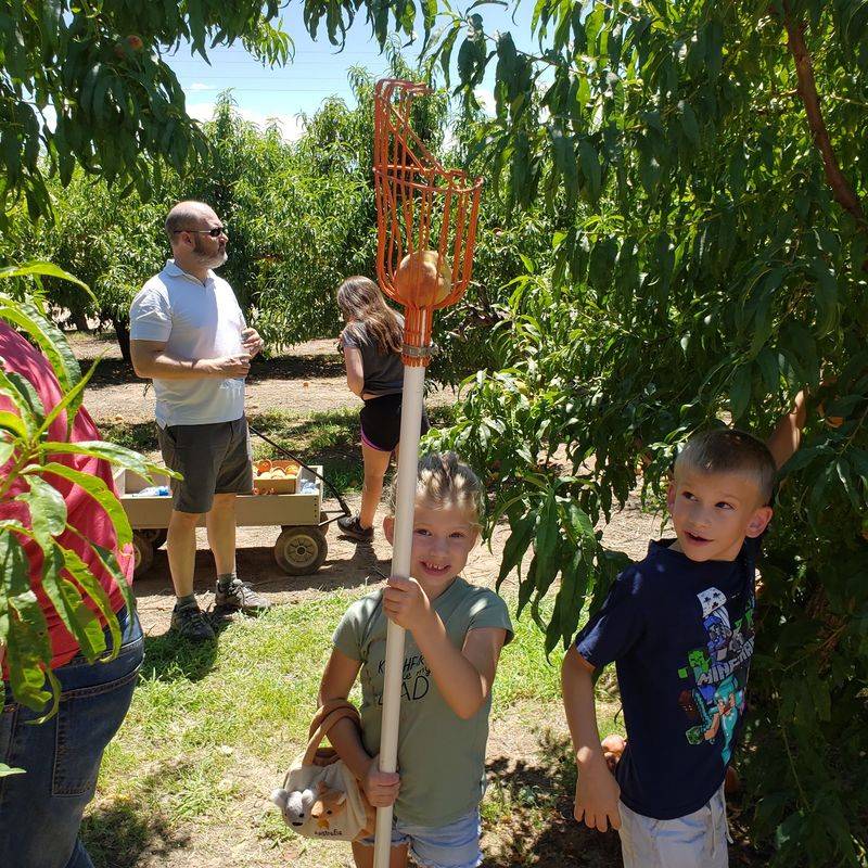 Two Orchards in One Visit
