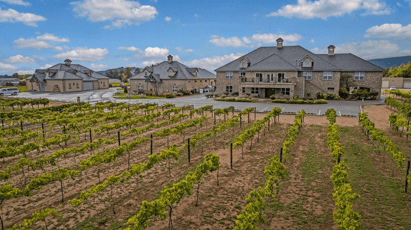 Two Rivers Winery, Grand Junction, Colorado