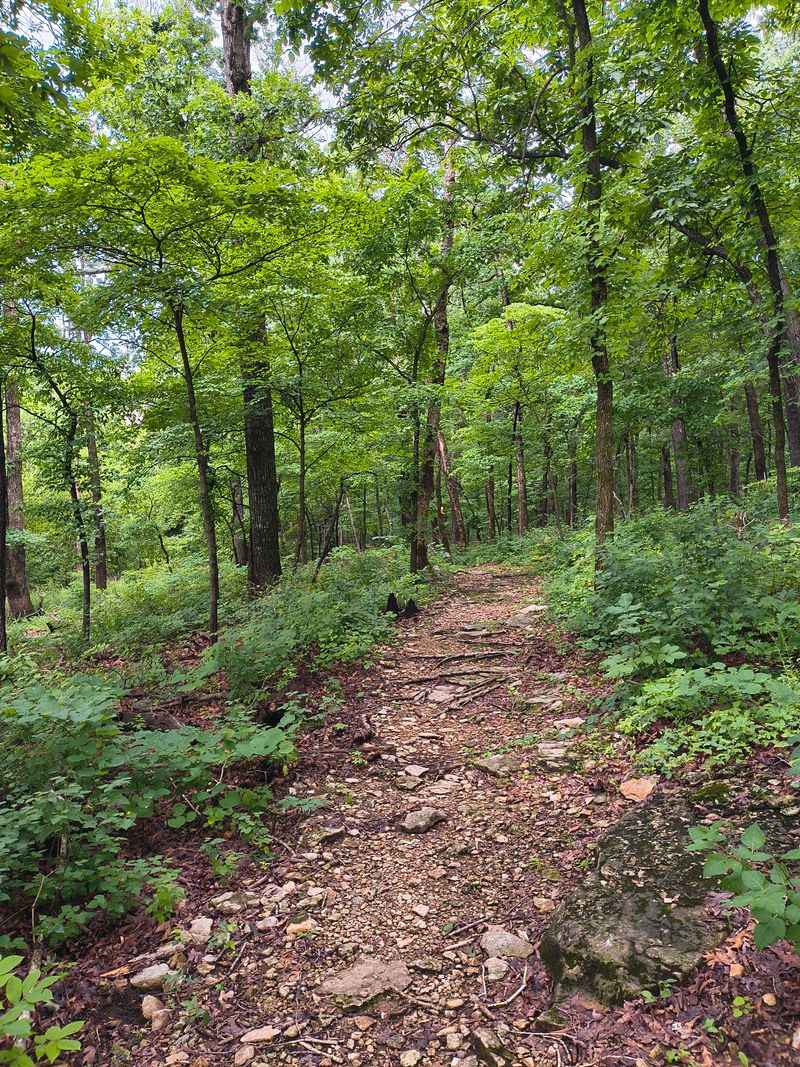 Umber Ridge Trail And Its Quiet Payoff Umber Ridge Trail And Its Quiet Payoff