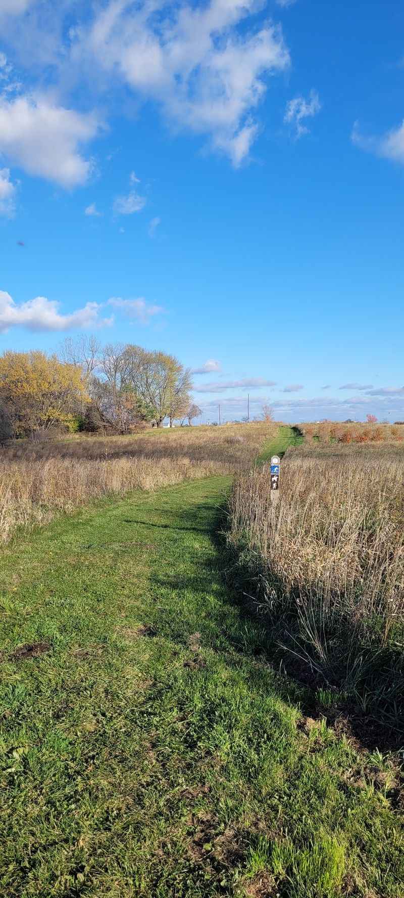 Unpaved Trails Through Forests, Prairie, and Wetlands