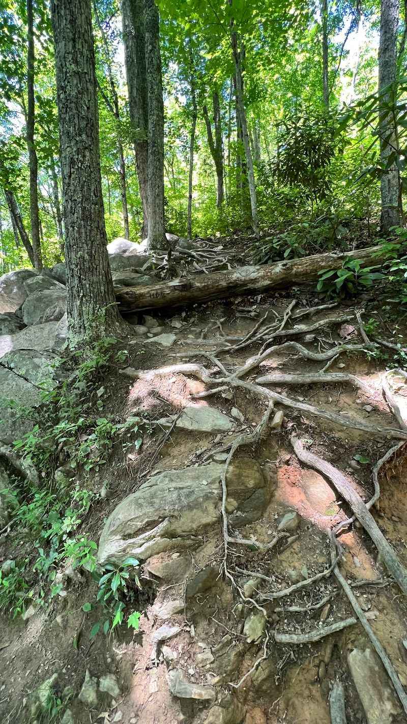 Uphill Both in Spirit and Slope