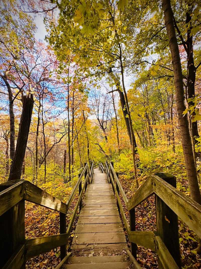Upper Trails Through Prairie and Forest