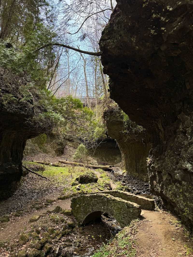 Valley of the Ancients Trail - Where Time Stands Still