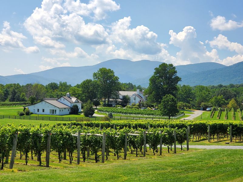 Veritas Vineyard and Winery, Afton, VA