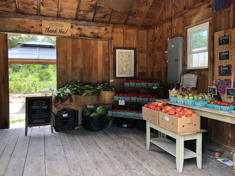 Verrill trip aside, Silverbrook Farm, Dartmouth, MA