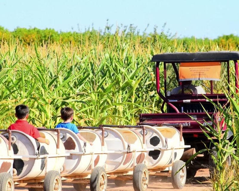 Vertuccio Farms, Mesa, Arizona