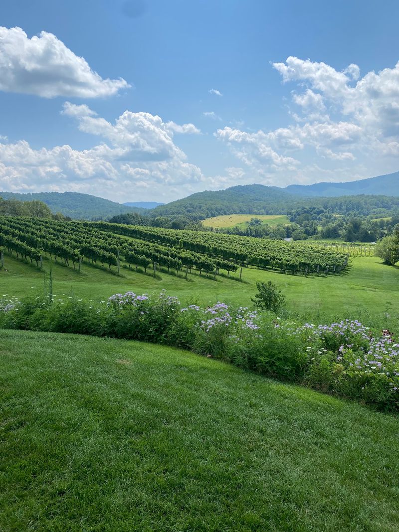 Virginia Wine Culture at Its Most Welcoming Virginia Wine Culture at Its Most Welcoming