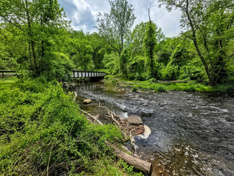 Wading and Water by the Bridge
