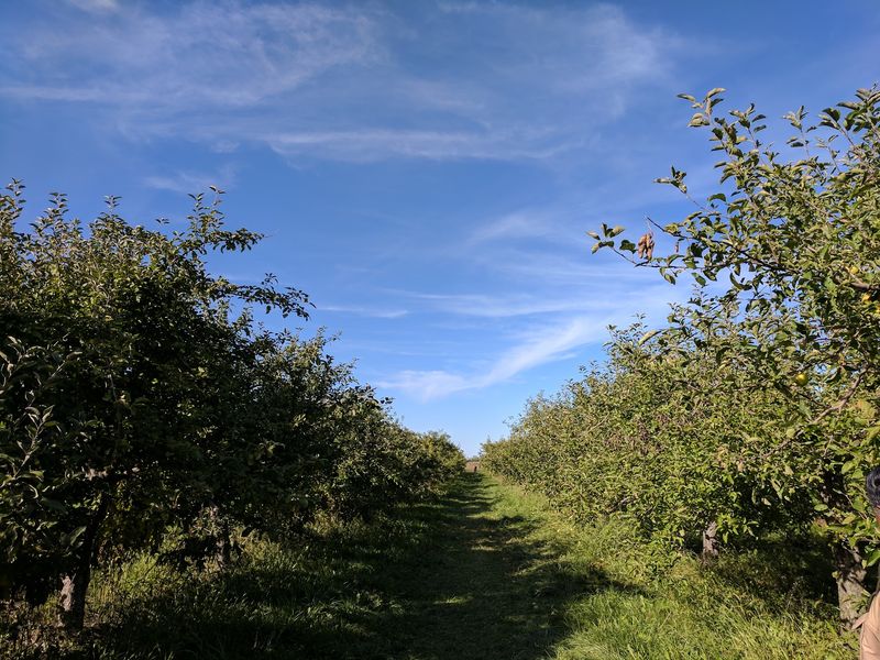 Wagner's Orchard, Indiana