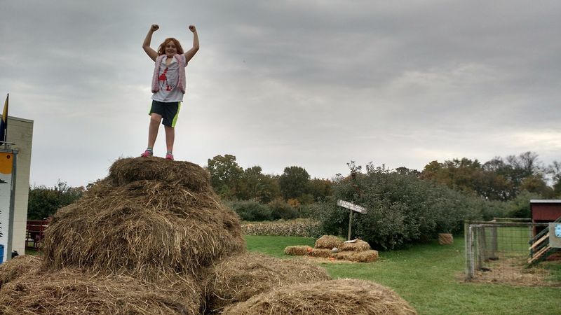 Wagon Rides And Play Areas