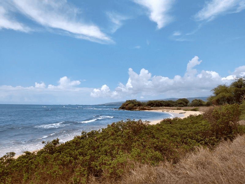 Waimea, Kauai