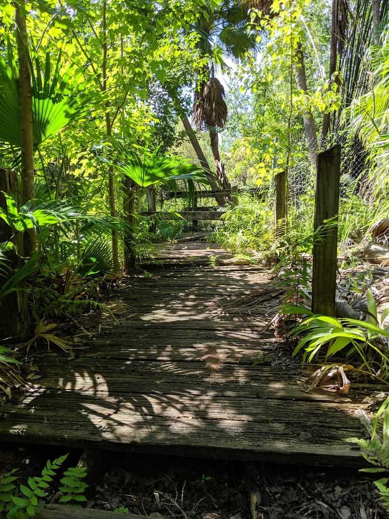 Walking Trails That Wind Through Habitats and Hidden Corners