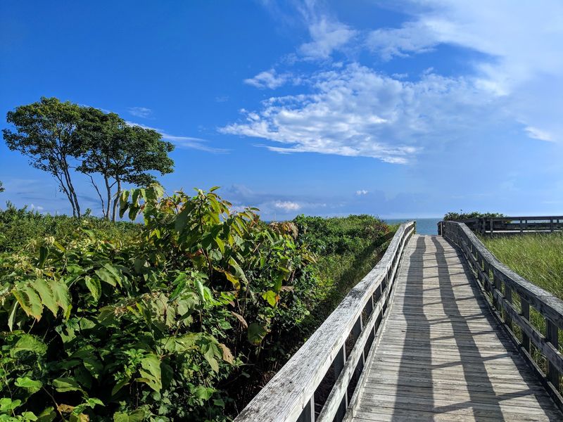 Walking Trails and Salt Marshes
