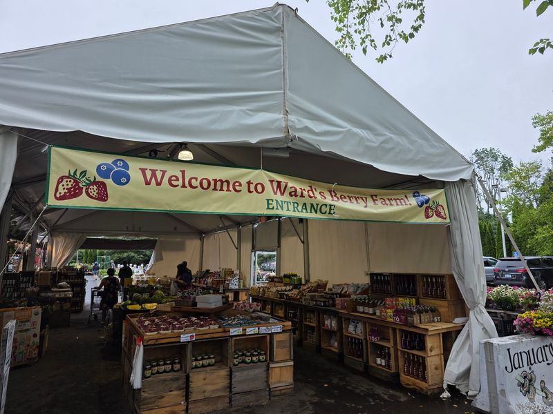 Ward's Berry Farm, Sharon, MA
