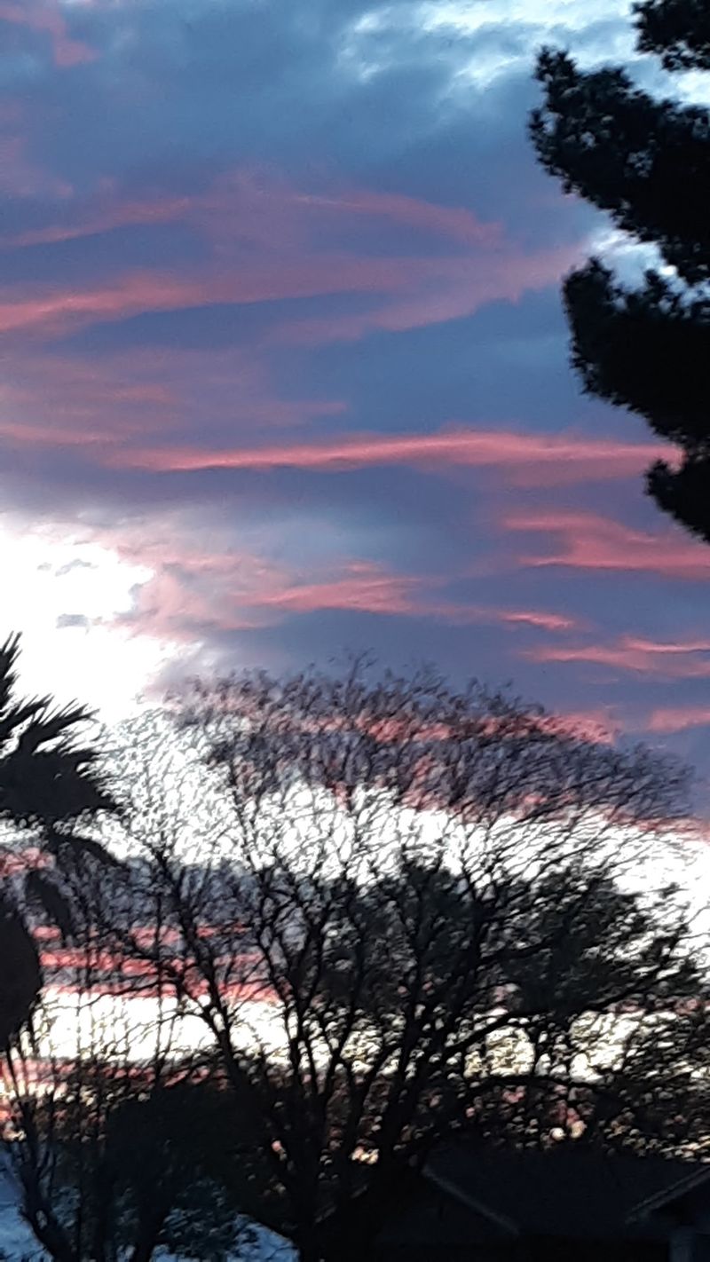 Warm Weather and Mild Winters