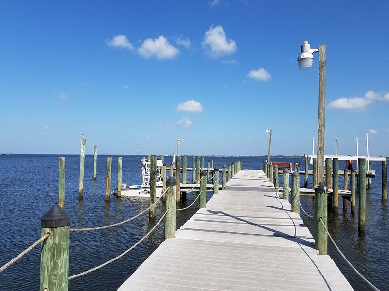 Watch Wildlife at Charlotte Harbor Preserve State Park