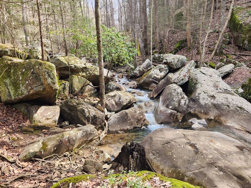 Watch Your Step On The Trail Watch Your Step On The Trail