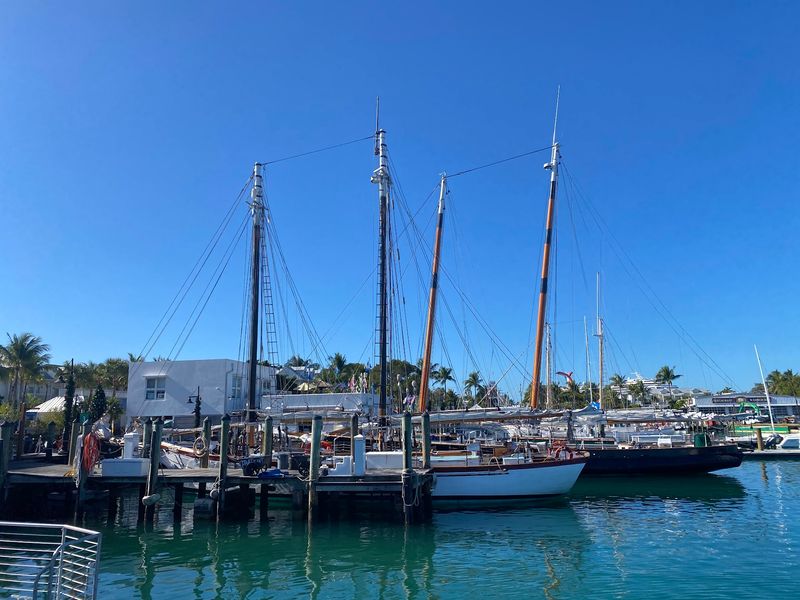 Watching the Boats Roll Into the Marina
