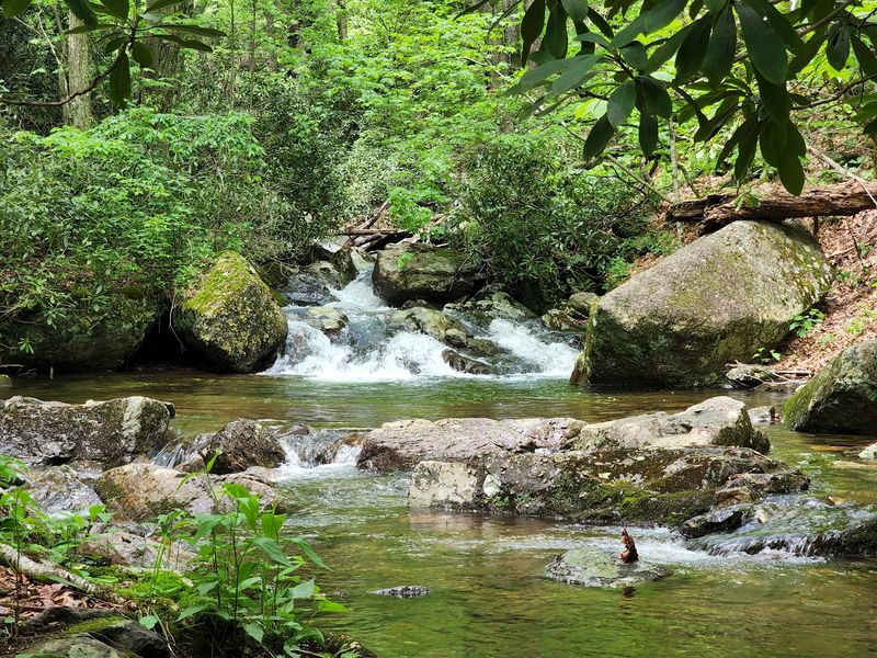 Waterfalls Hidden Along Cabin Creek