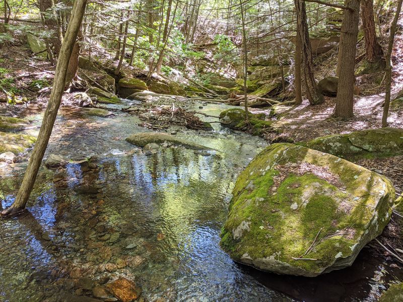 Waterfalls, Streams, and Wildlife