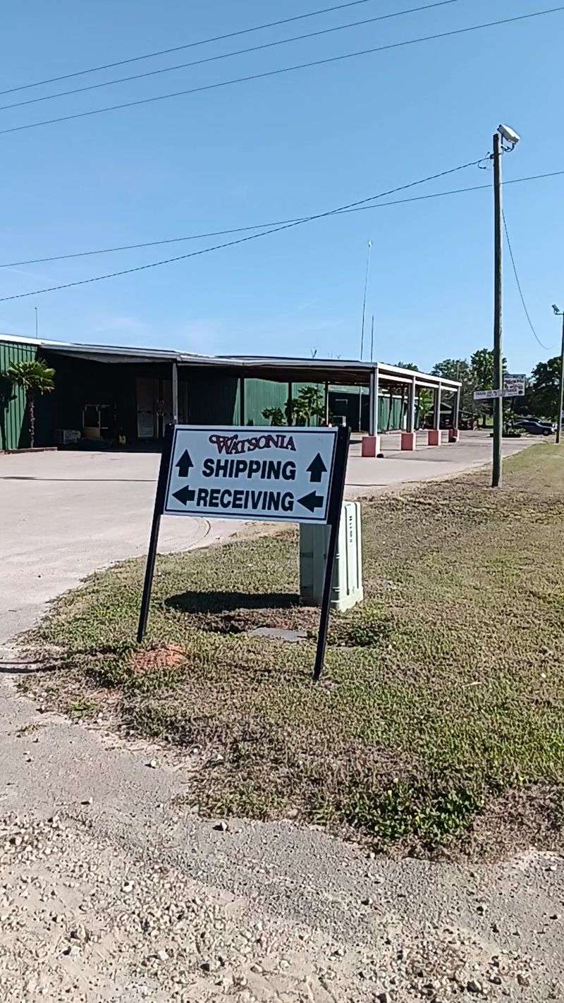Watsonia Farms in Monetta
