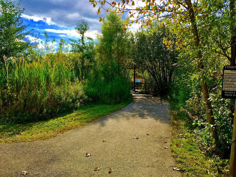 Wauconda Bog Nature Preserve: A True Natural Landmark Wauconda Bog Nature Preserve: A True Natural Landmark
