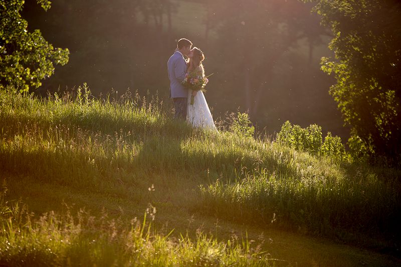 Weddings, Getaways, And Furry Guests